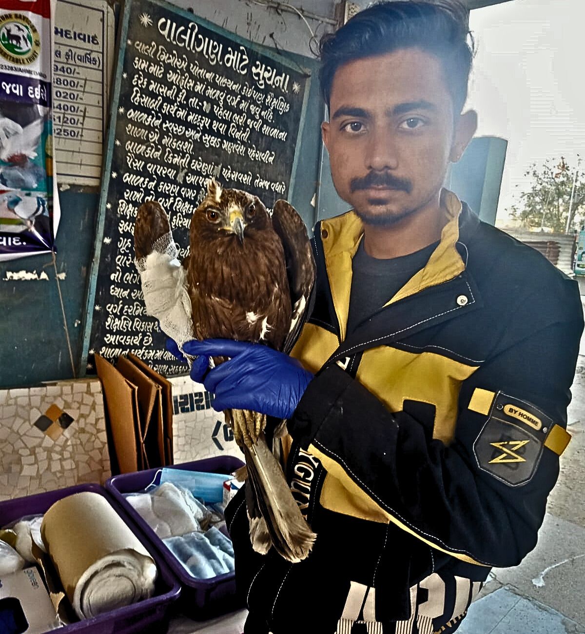Injured bird rescue by JD Foundation Ahmedabad