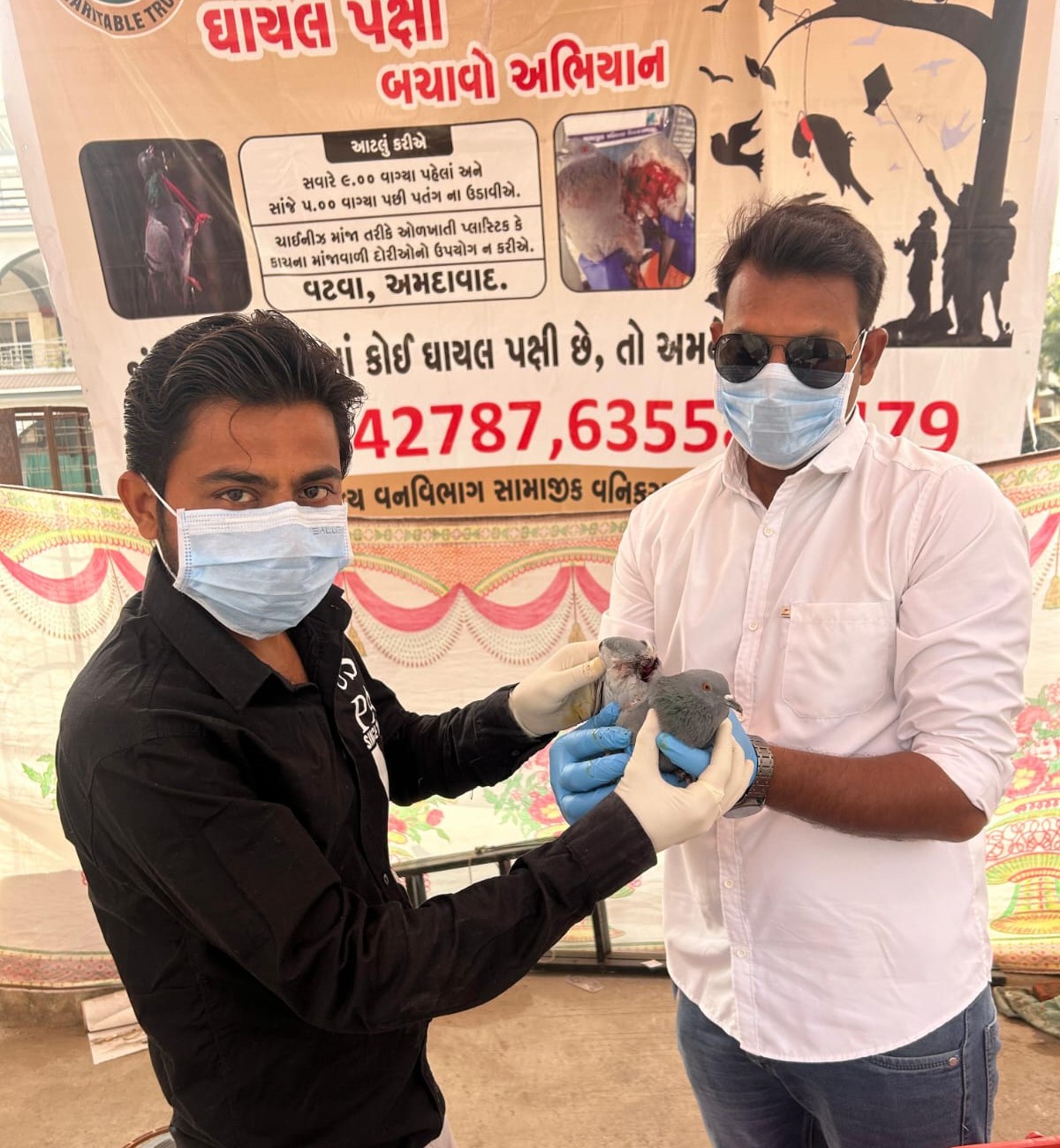 Injured bird rescue by JD Foundation Ahmedabad
